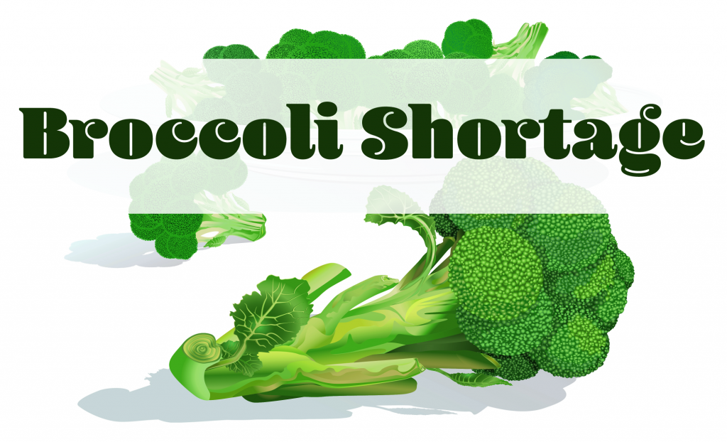 broccoli shortage01 PARAGON